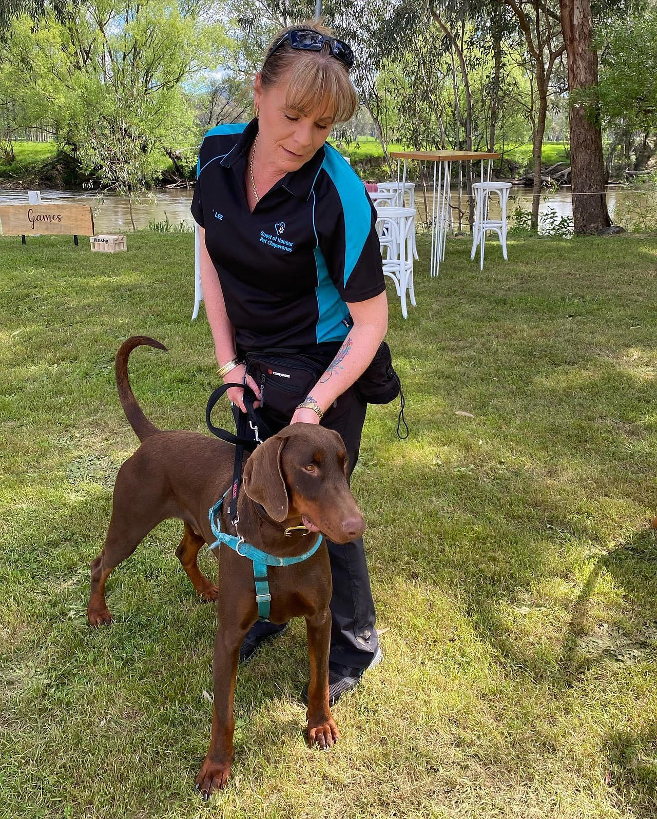 dogs at wedding in Canberra with support services