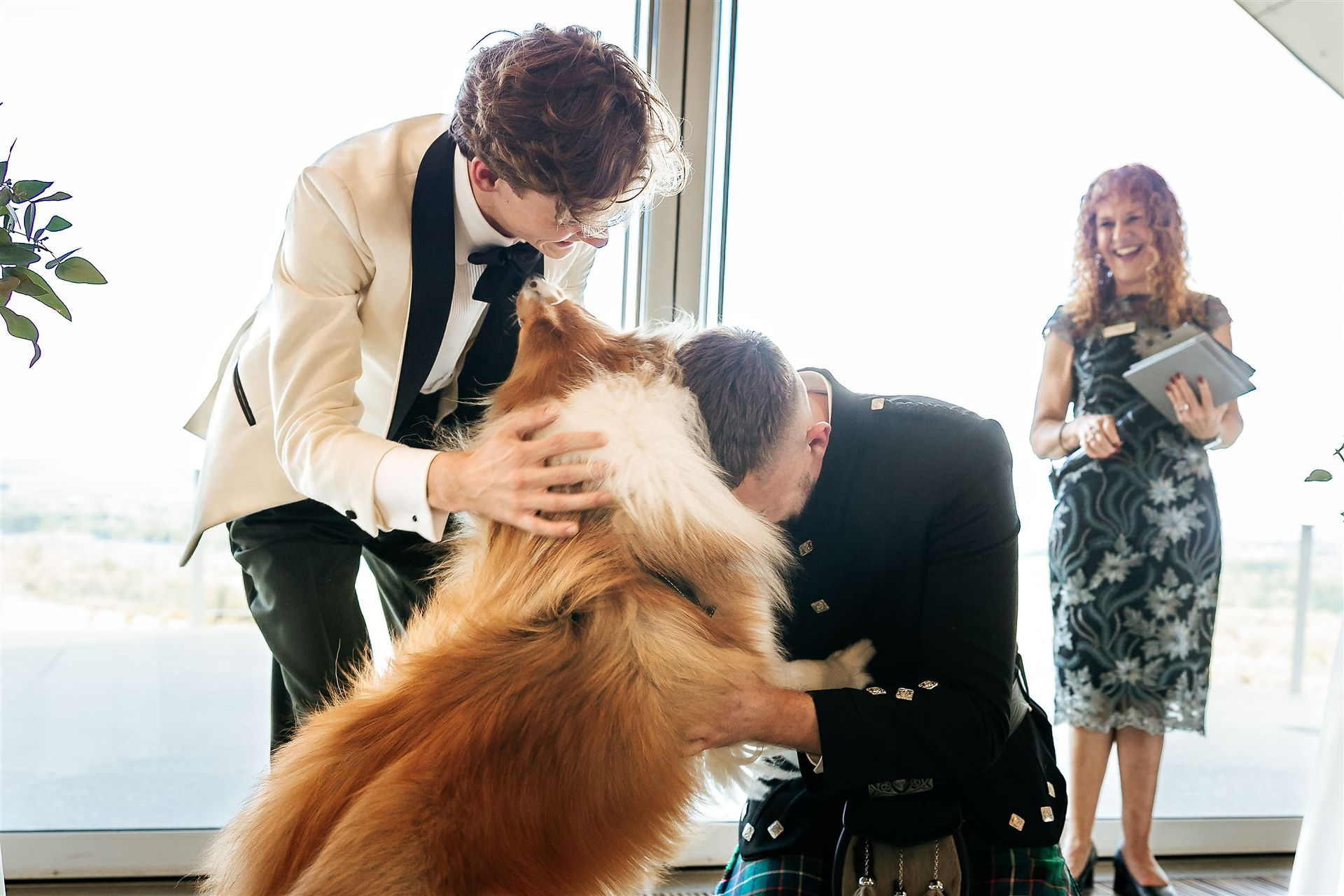 having your dog at your Canberra wedding