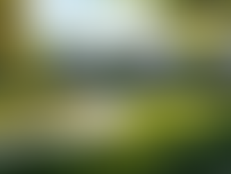 Commerce Trends 2025 and the Influence of ACCA Professionals on Udaipur's Education Landscape