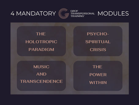 4 boxes describing the 4 mandatory GTT modules: the Holotropic Paradigm, psycho-spiritual crisis, music and transcendence, the power within