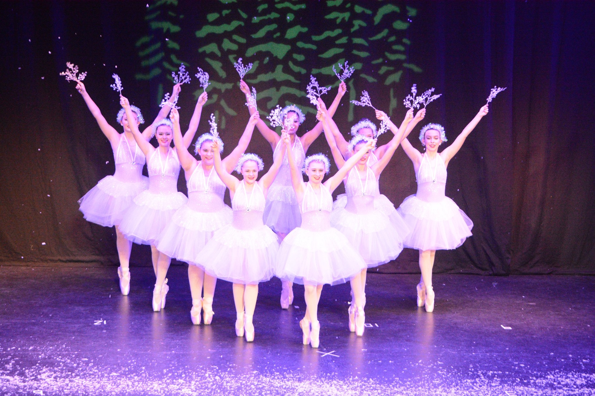 Turning Pointe Center Of Dance Children S Dance Lessons