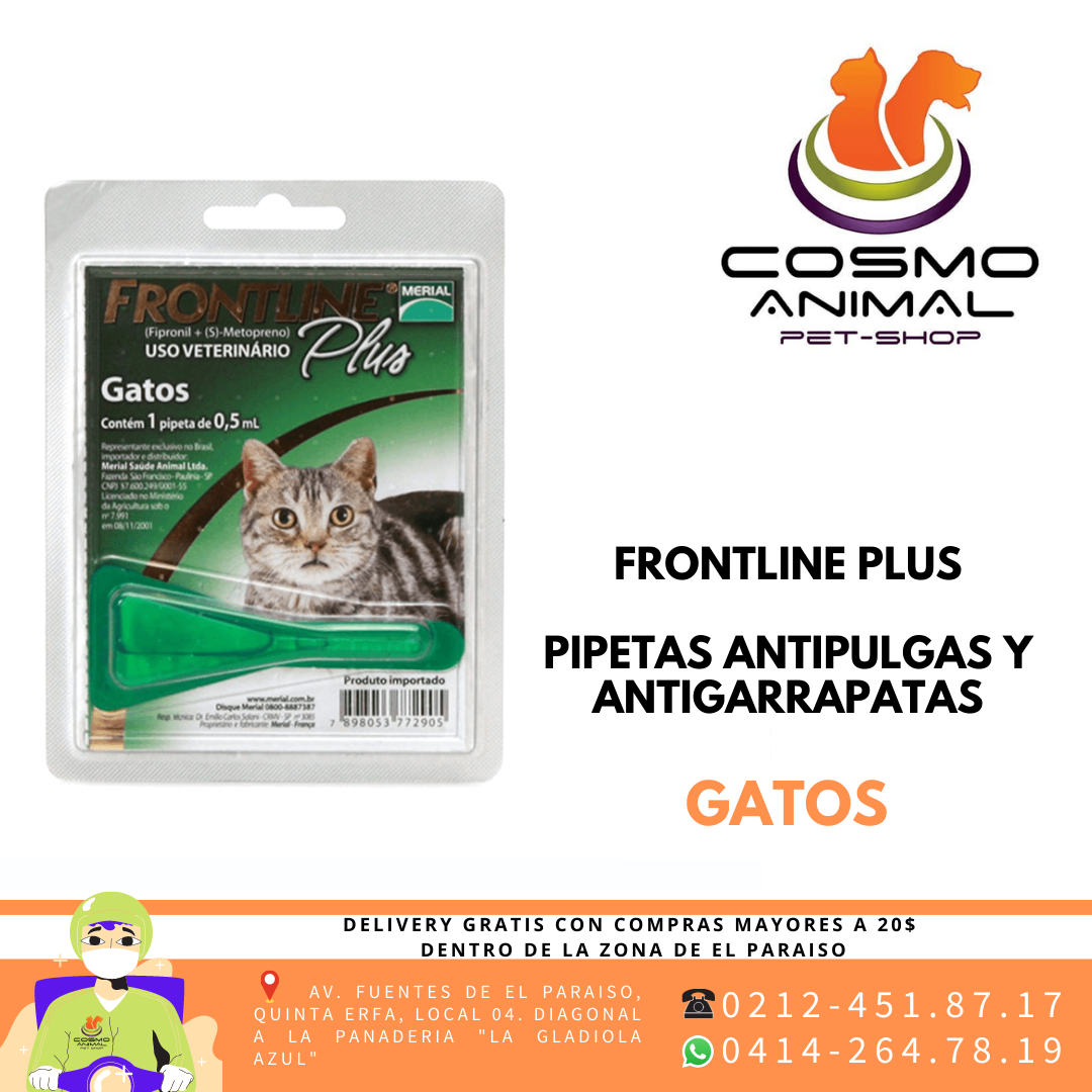 𝑷𝑰𝑷𝑬𝑻𝑨 𝑮𝑨𝑻𝑶𝑺 𝑭𝑹𝑶𝑵𝑻𝑳𝑰𝑵𝑬 𝑷𝑳𝑼𝑺