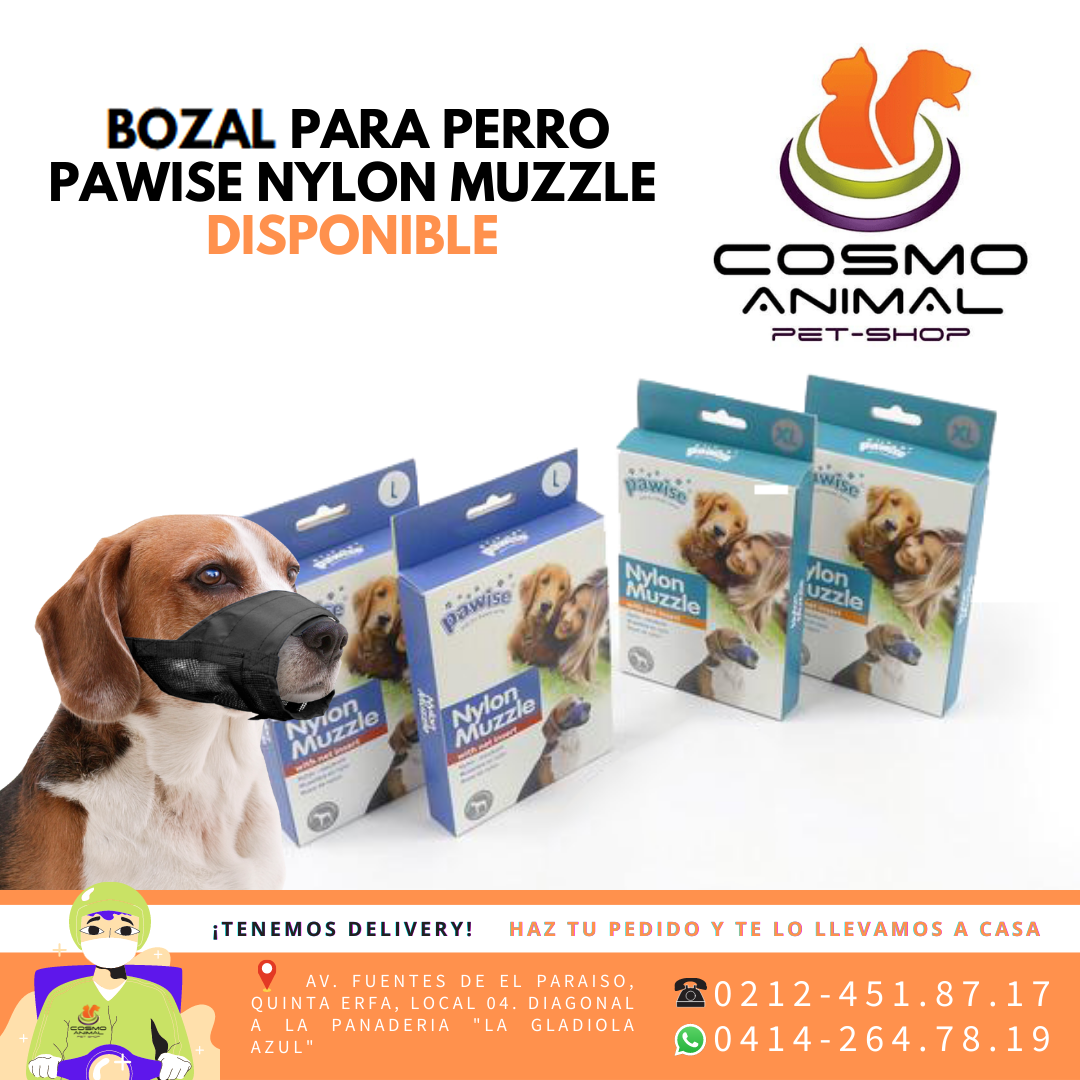 𝑩𝑶𝒁𝑨𝑳 𝑷𝑨𝑹𝑨 𝑷𝑬𝑹𝑹𝑶𝑺