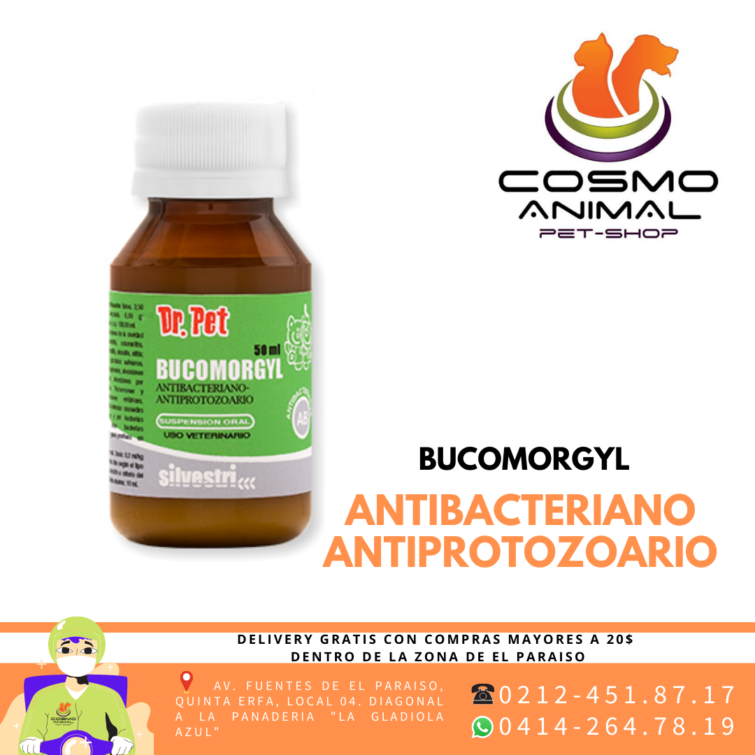 𝑩𝑼𝑪𝑶𝑴𝑶𝑹𝑮𝒀𝑳