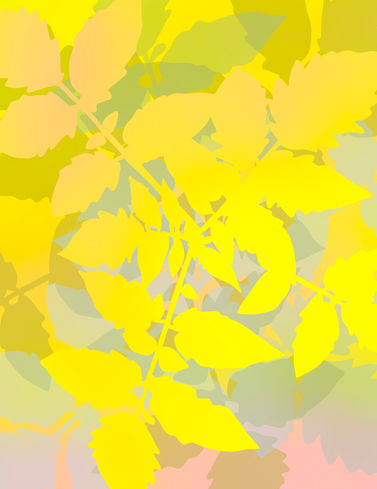 29DFED62-8809-4983-BD4A-A6BBFD40C83A.jpeg