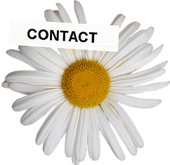 flower with text.png