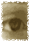 blick.gif