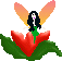 Fairy4.gif