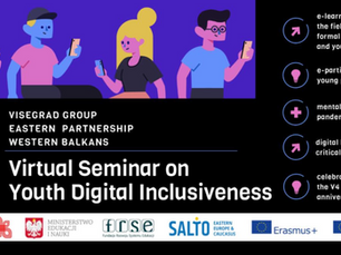 Youth Digital Inclusivness Seminar: webinar