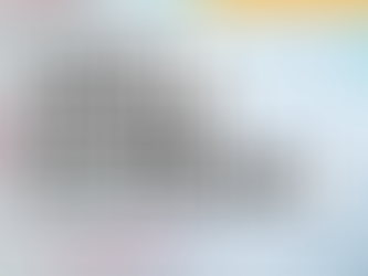 Youth Participation in Internet Governance: why should we care?