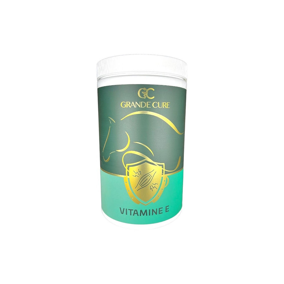 GRANDE CURE VİTAMİN E 1KG.