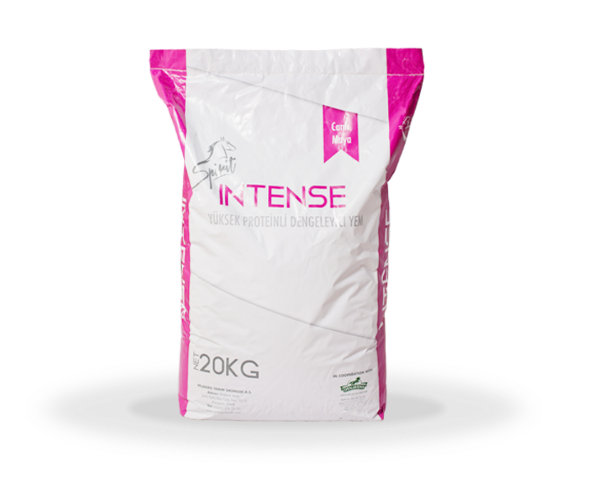 SPİRİT İNTENSE 20KG.