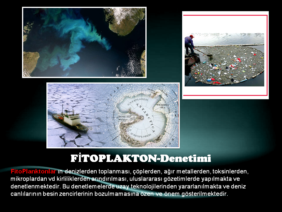 Slide14.PNG