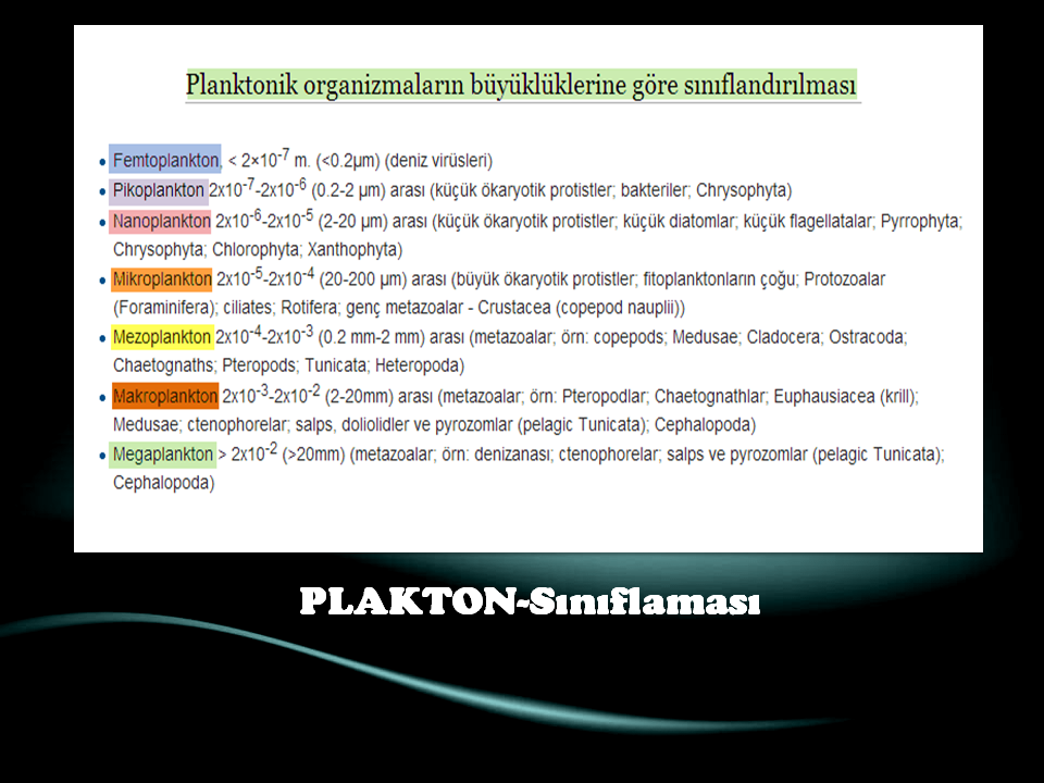 Slide4.PNG