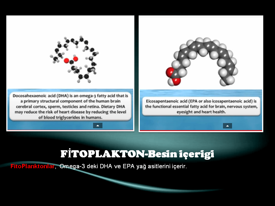 Slide13.PNG