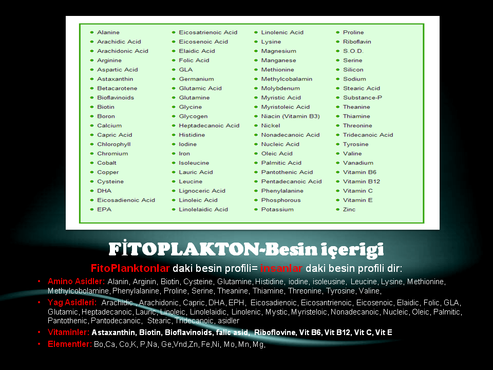 Slide10.PNG