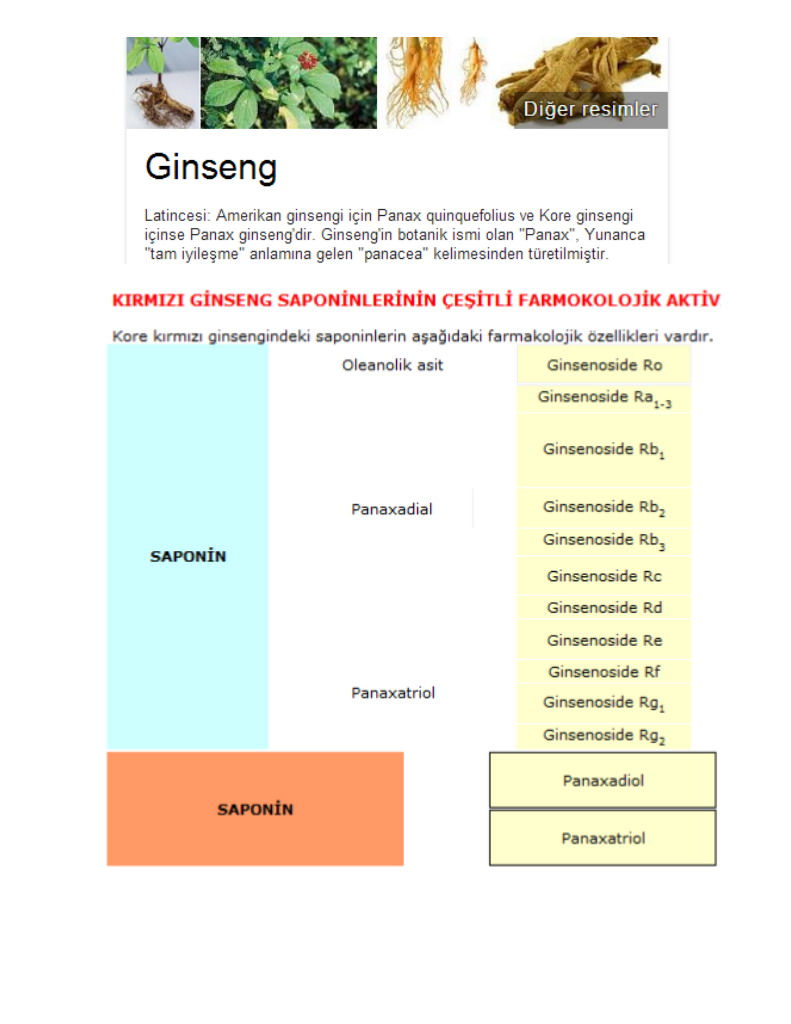 PowerStrips_saponinleri
