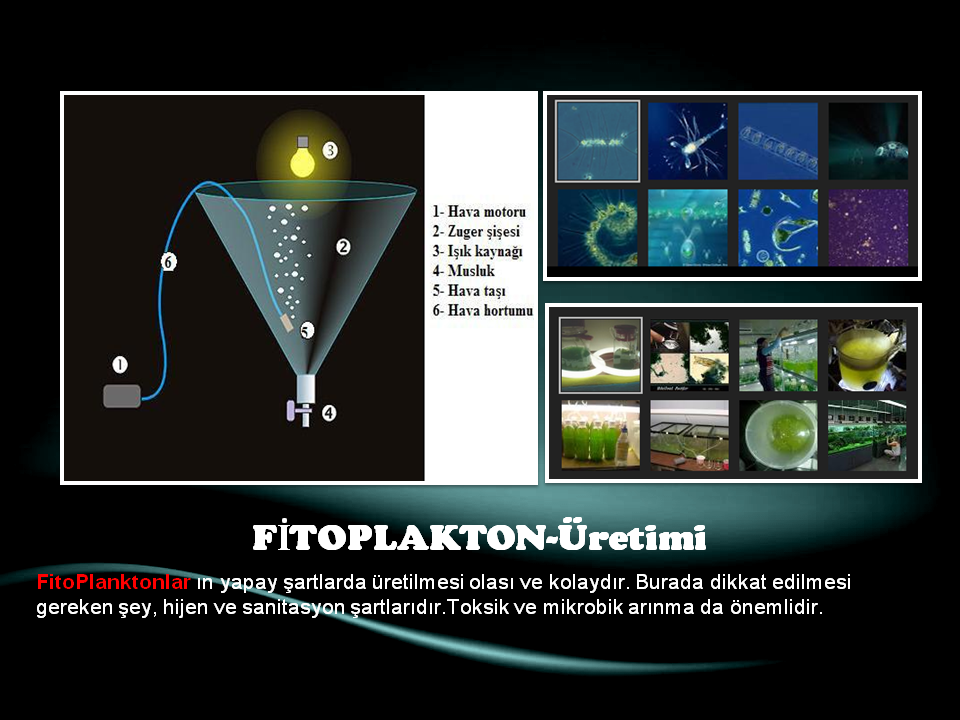 Slide15.PNG