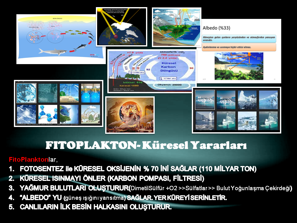 Slide8.PNG