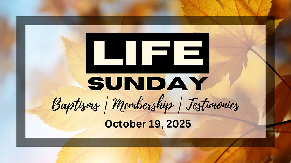 Fall Life Sunday