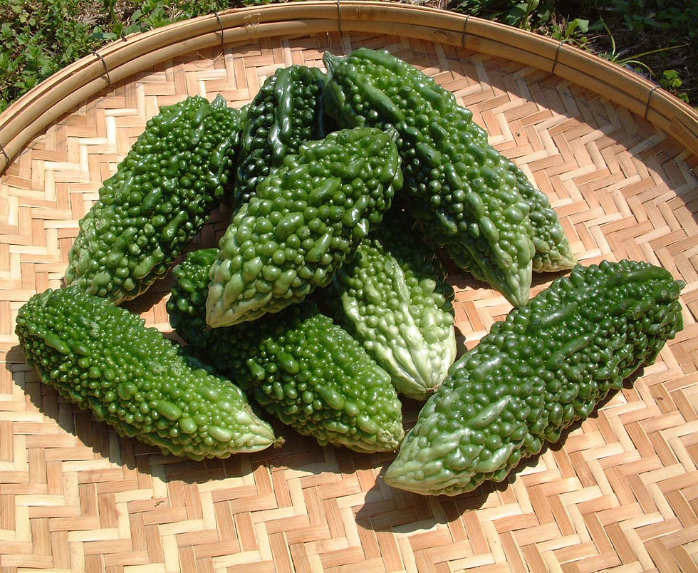 Bitter Melon 01.jpg