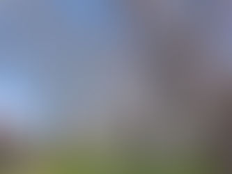 とてもお久しぶりです。