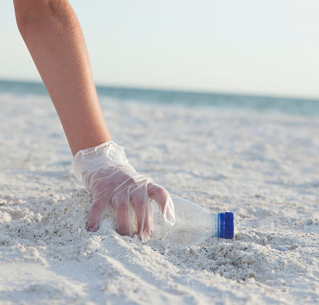 Limpiando la playa