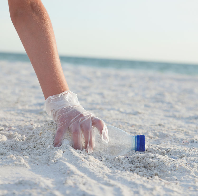 Beach Cleanups