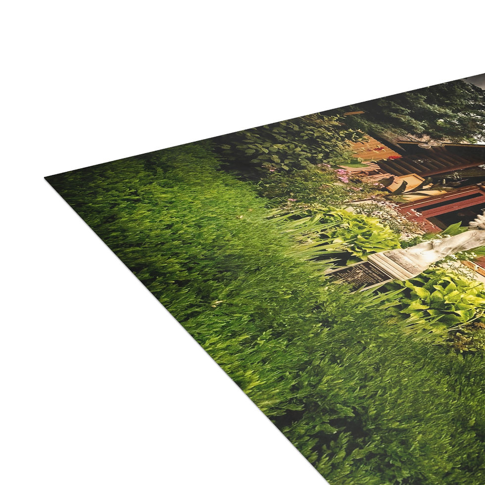 Thumbnail: SoderWorld Front Postcards- Niki Parker Photo (envelopes not included) 
