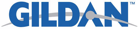 Gildan GD42