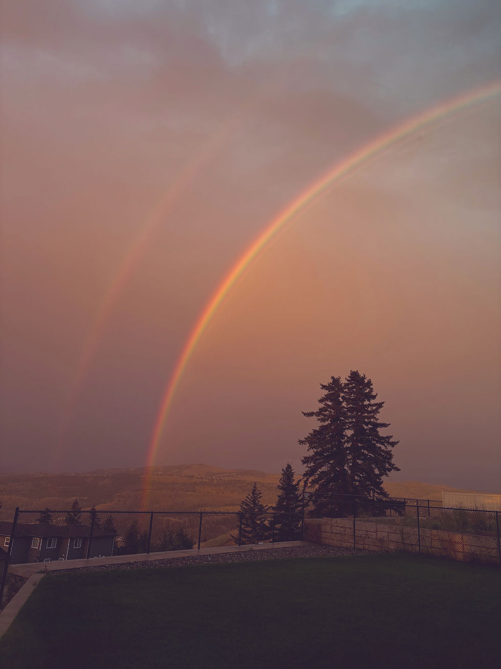 How to Tell if a Therapist is Actually Queer Affirming.