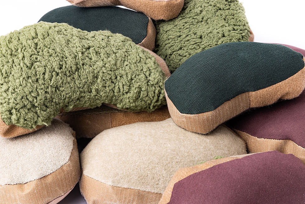 Miniatura: Mariana Gonçalves | Terreninos