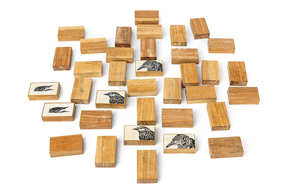 Miniatura: Ulysses Boscolo | Pássaros da memória