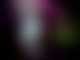 The Haunt PA — 2025 Review