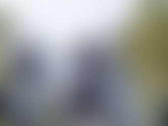 Reaper's Revenge - 2020 Review