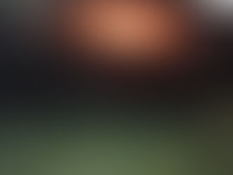 Hellstead Manor - 2019 Review