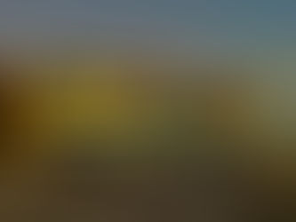 Nightmare Cleveland — 2025 Review