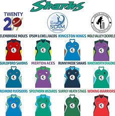 2019 Shirts.jpeg