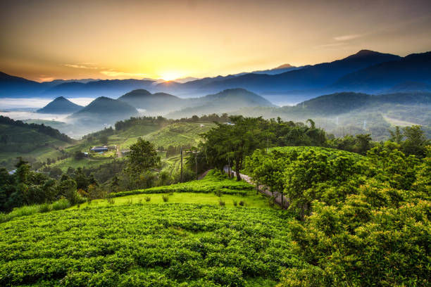 How to Prepare for a Multi-Day Hike in Taiwan’s Mountains