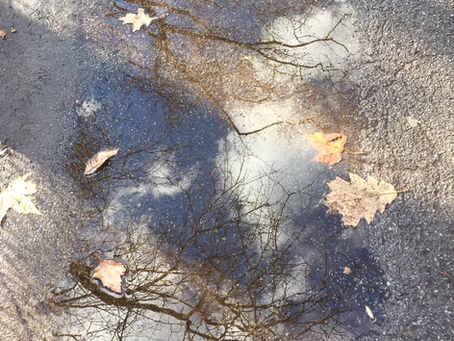 Charco en el camino