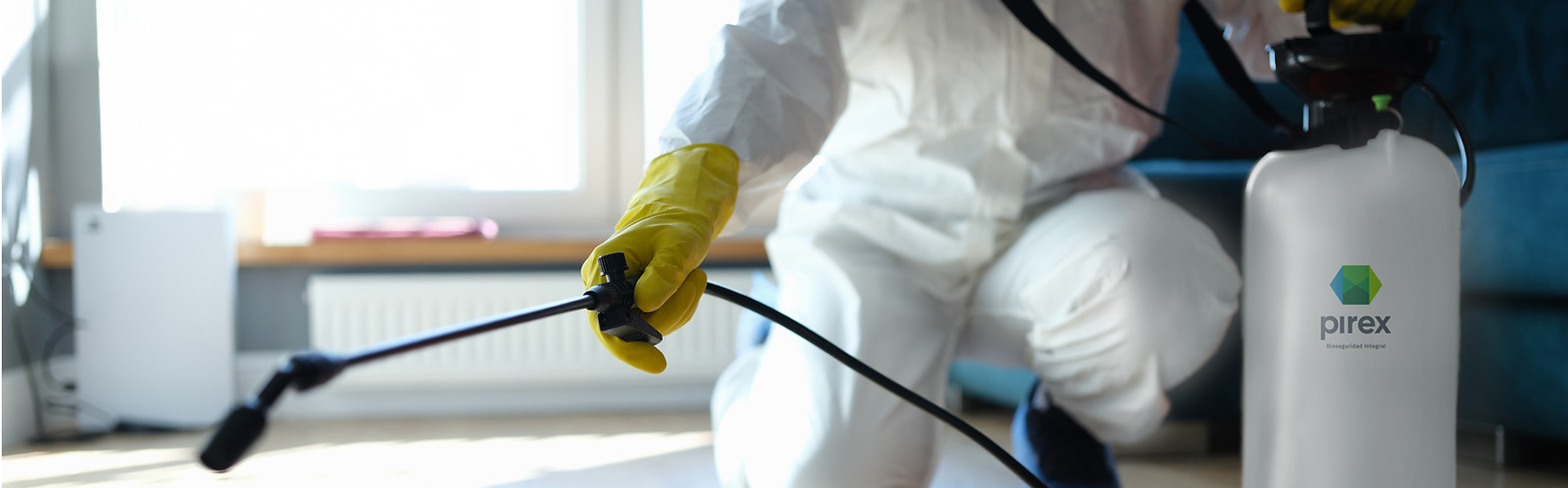 isinfection-premises-from-insects-rodents-with-chemicals copia.jpg