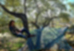 Oak Hand Net.jpg