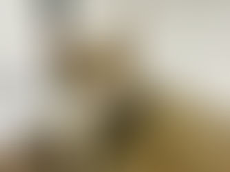 寵物生病前的早期徵兆整理:日常觀察可以注意什麼