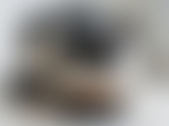 飼料成分表怎麼看?為什麼換了配方毛孩反應會不同