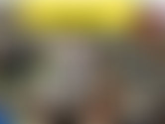 Cafés Multi Kulti et les cafés linguistiques : une année de rencontres et de discussions