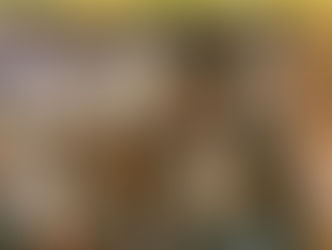 Témoignages: Les aventures de Florian en Turquie et la vie de Greta à Nîmes