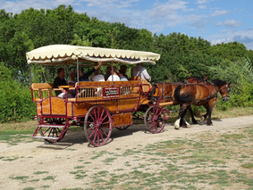 L'Europe soutient une belle initiative en Petite Camargue...