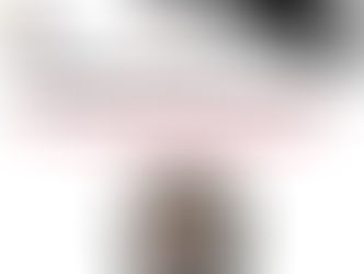 Les 60 ans du traité de l'Elysée