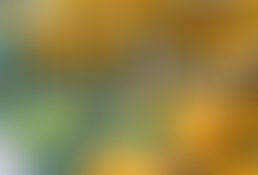 🍌 Tasso Banana – A Dexterity Game That’s Totally Bananas