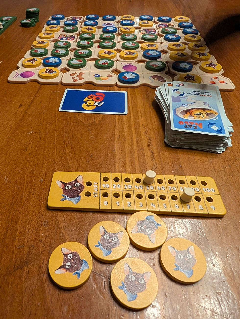 Cat in 8 board